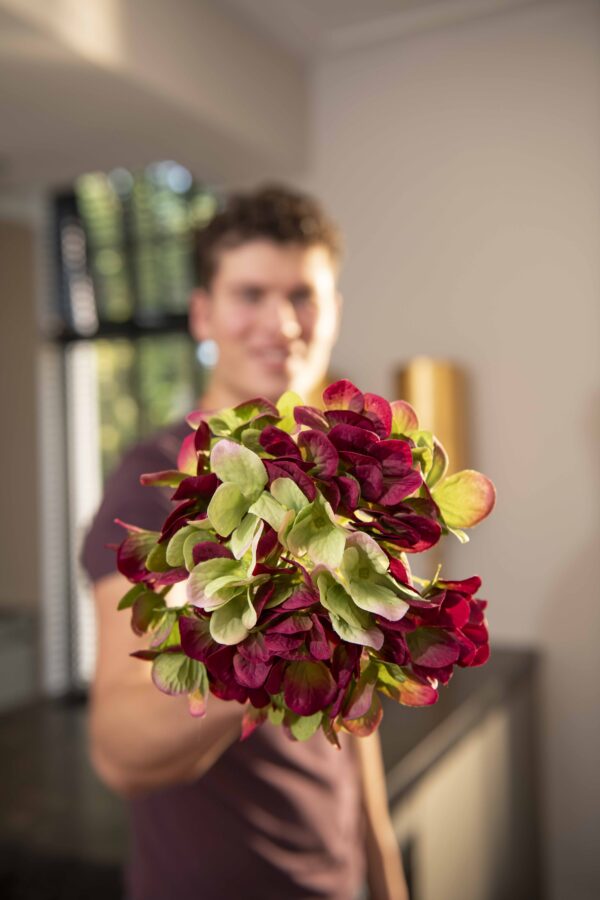 Silk-Ka - Hortensia rood 48cm - Afbeelding 3