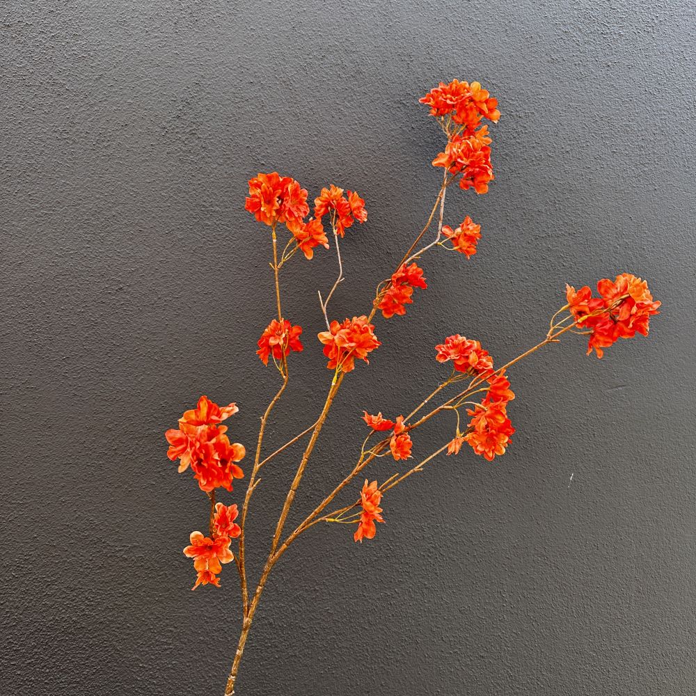 Bloesemtak oranje