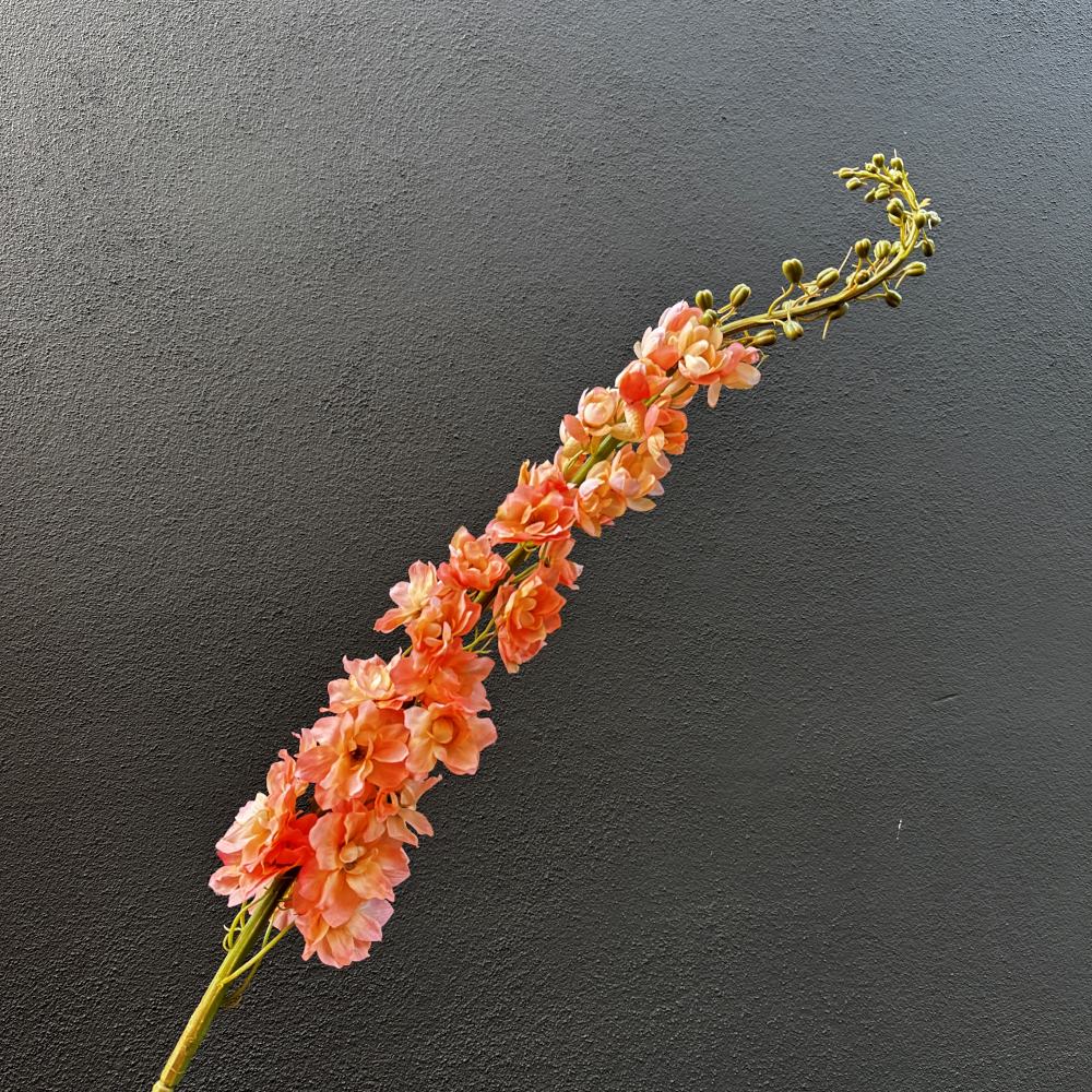 Delphinium tak zalm